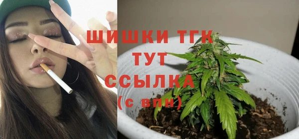 тгк Богданович